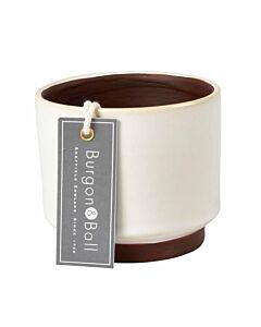 Burgon & Ball Malibu Succulent Pots-Cream